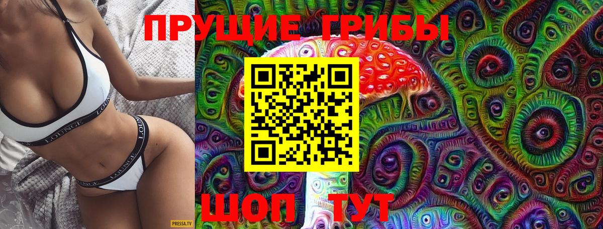 Псилоцибиновые грибы Cubensis Наро-Фоминск