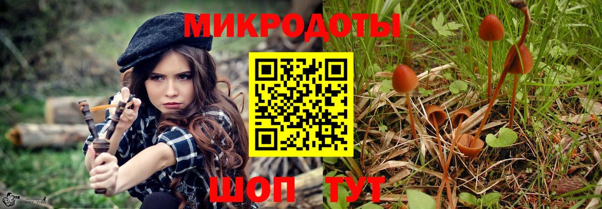 Галлюциногенные грибы прущие грибы  магазин продажи наркотиков  Псилоцибиновые грибы Psilocybine cubensis  Наро-Фоминск  Вход с VPN 